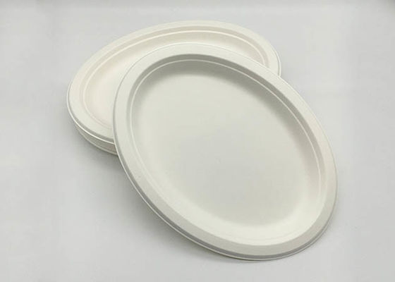 10 Inch 515ml Oil Resistance Biodegradable Sugarcane Bagasse Plates