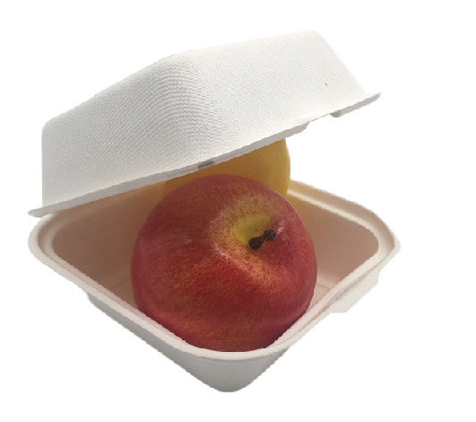 Bento   6x6 Inch 21g  Biodegradable Boxes For Food