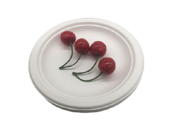 Food Grade Biodegradable Sugarcane Bagasse Plates Round Eco-friendly Food Container